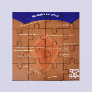 Rompecabezas modelo anatómico vulva