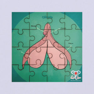 Rompecabezas modelo anatómico clítoris